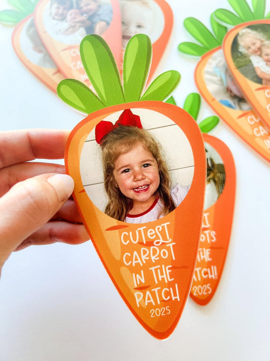Carrot Magnet