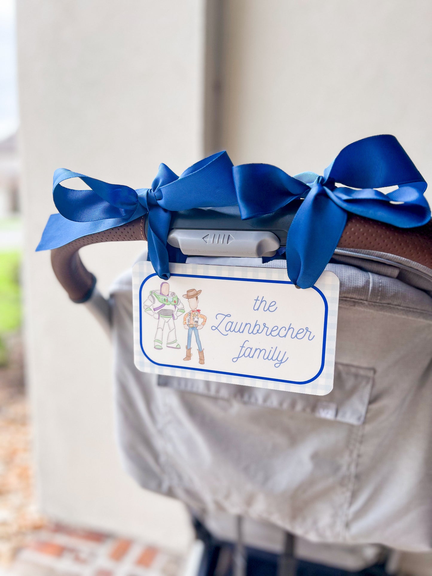 Woody & Buzz Gingham Stroller Sign