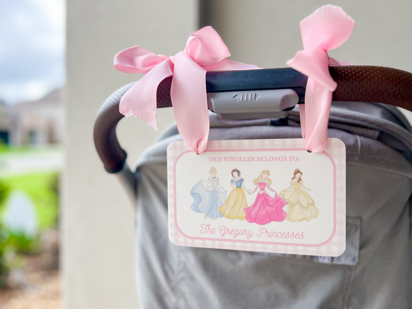 Princess Stroller Tag