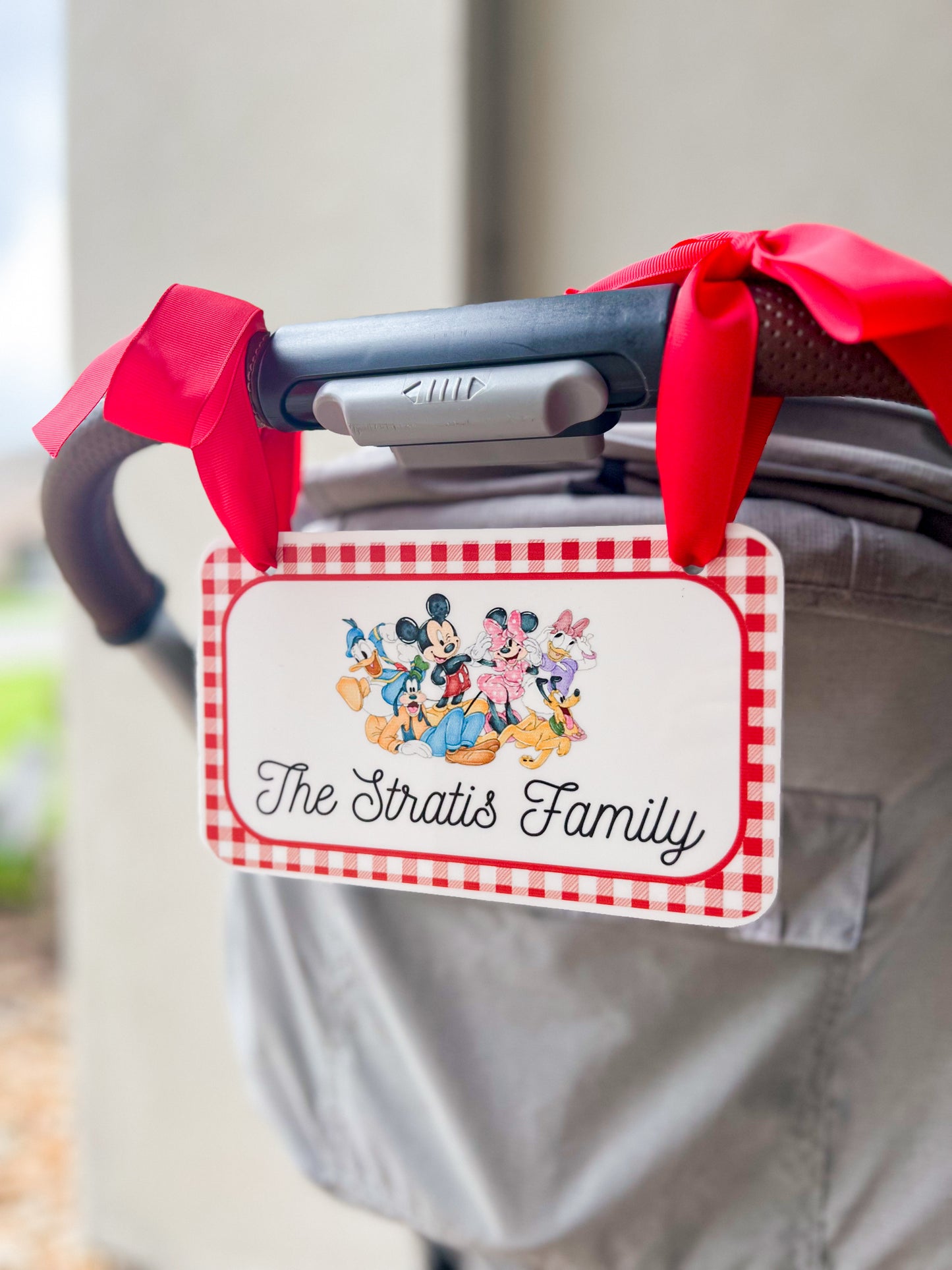 Mickey & Friends Gingham Stroller Sign